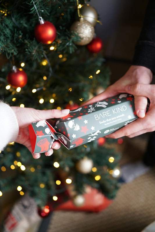 A person holding a christmas present in front of a christmas tree