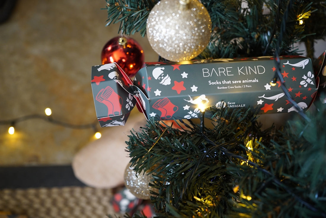 A close up of a christmas tree with a box of bare kind