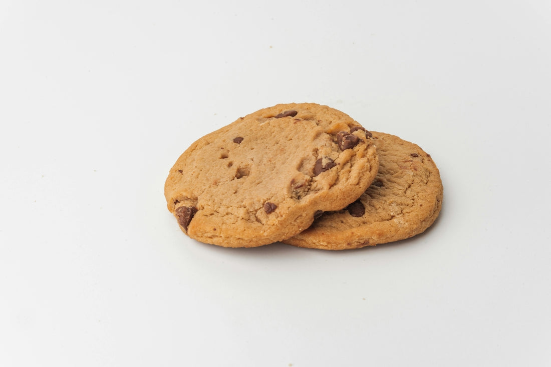 Two chocolate chip cookies on a white plate