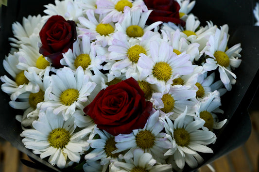 A bouquet of white daisies and red roses